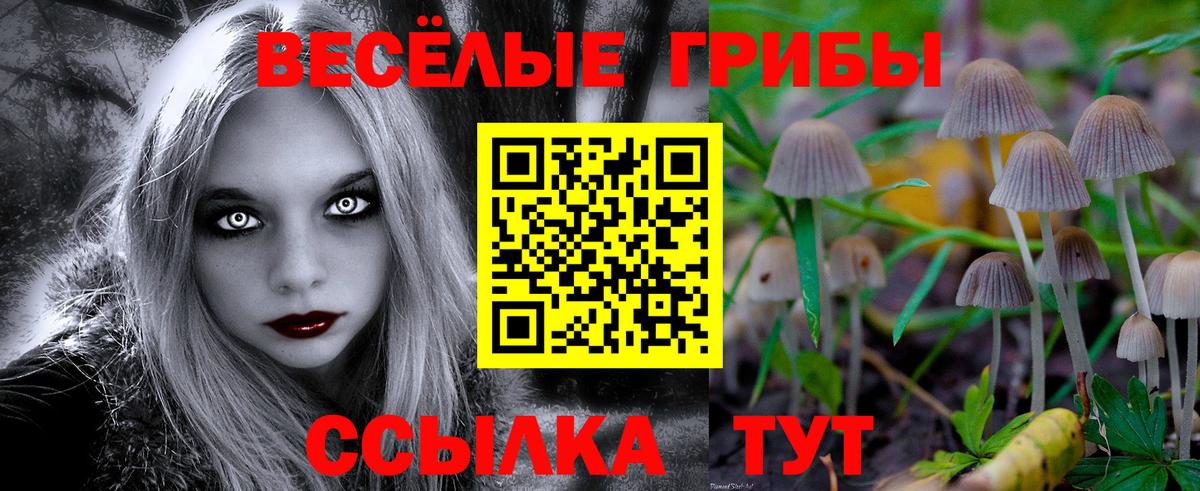 Галлюциногенные грибы Psilocybe Азнакаево