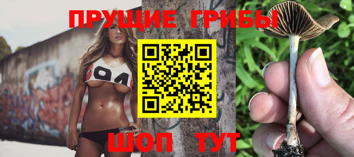 Псилоцибиновые грибы мухоморы  Псилоцибиновые грибы Magic Shrooms  Вход с VPN  как найти   Азнакаево 
